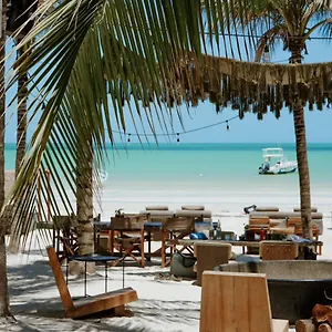 Casa Tortugas Petit Hotel&spa Hotel Isla Holbox